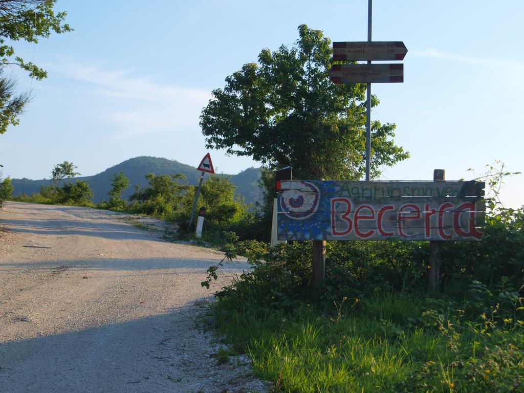 Agriturismo Becerca Vegan Serra San Quirico Exterior foto