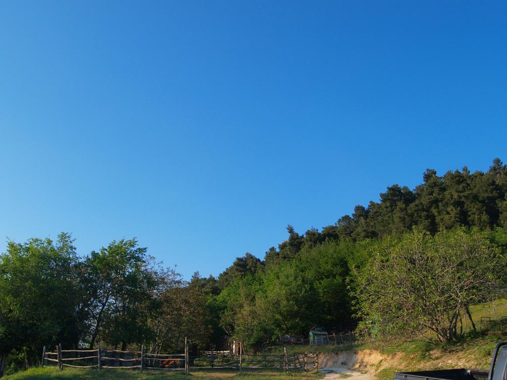 Agriturismo Becerca Vegan Serra San Quirico Exterior foto