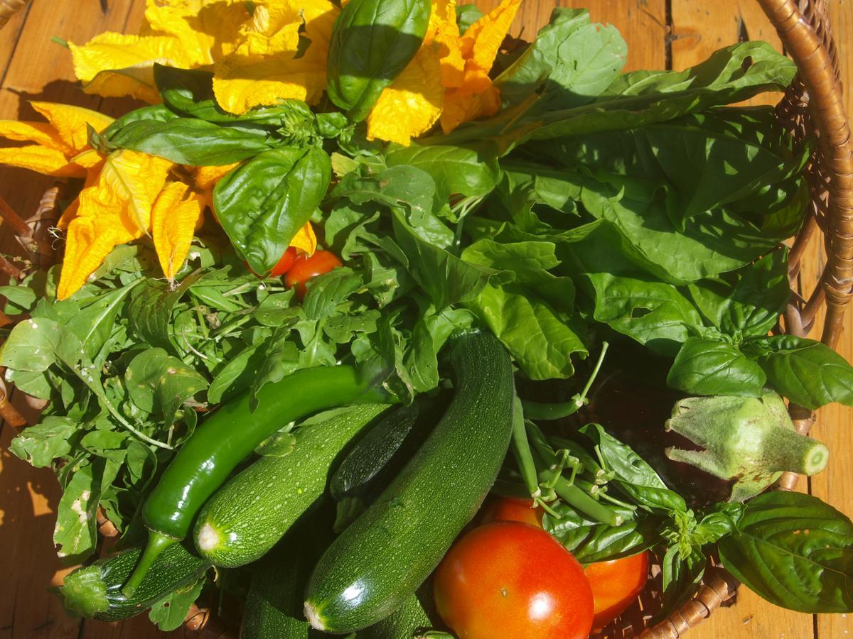 Agriturismo Becerca Vegan Serra San Quirico Exterior foto